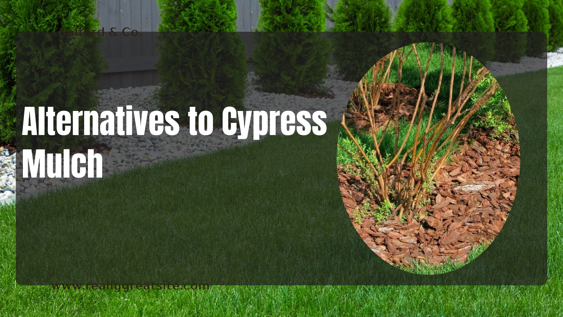 Alternatives to Cypress Mulch