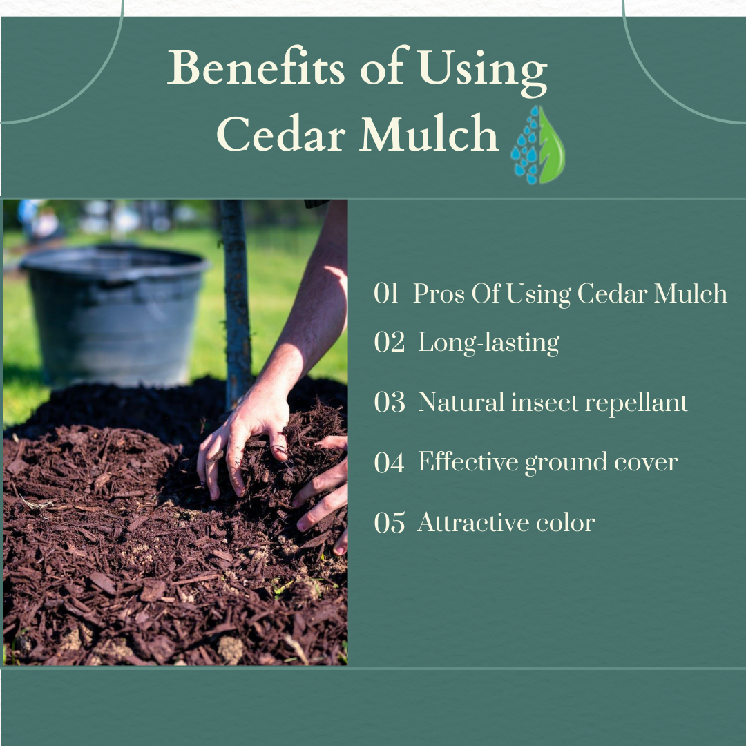 Benefits of Using Cedar Mulch