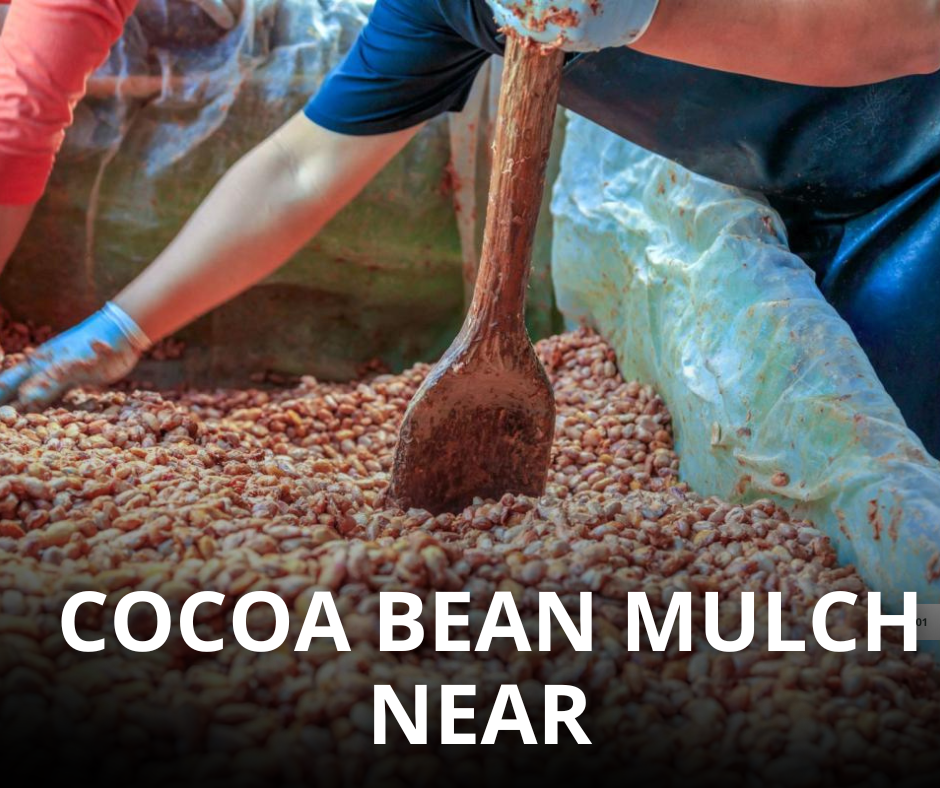 Cocoa Bean Mulch Near Me
