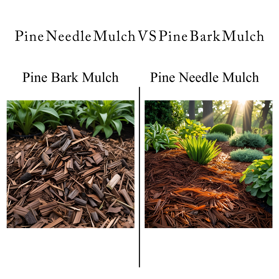 Pine Needle Mulch VS Pine Bark Mulch