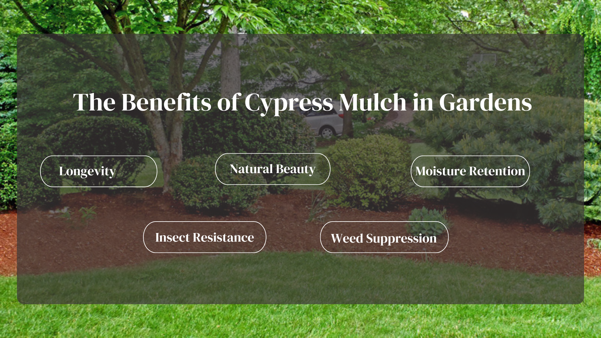 The Benefits of Cypress Mulch