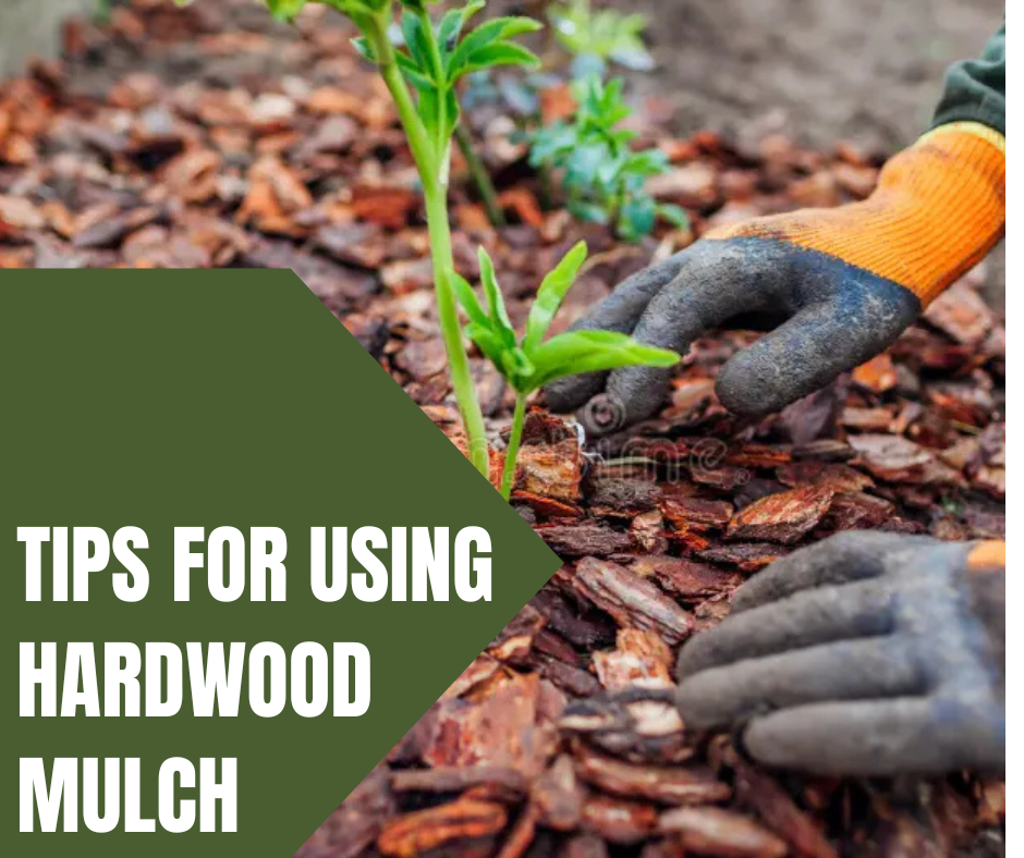 Tips for Using Hardwood Mulch