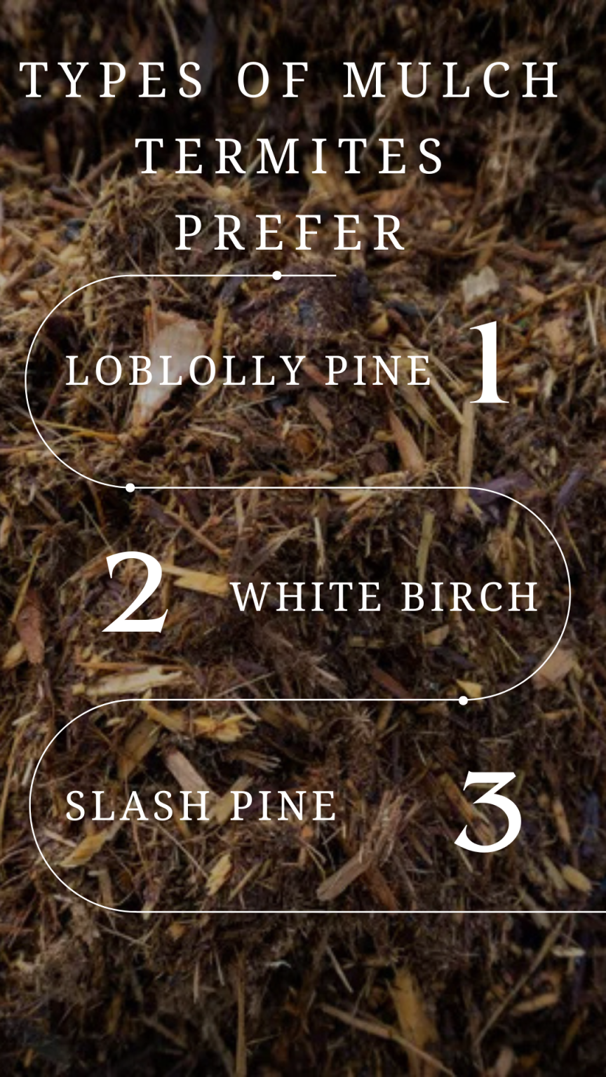 Does Mulch Attract Bugs?