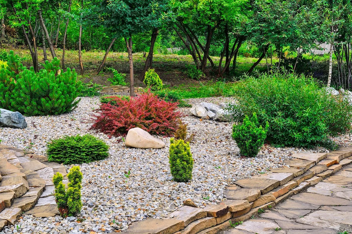 How to Clean Landscape Rocks: A Complete Guide to Restoring Your ...